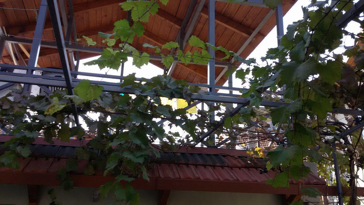 Guesthouse 26 Mtskheta Luaran gambar